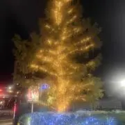 ソウ