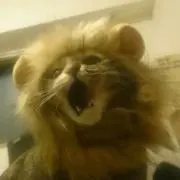 はるか