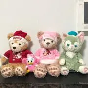 ツルカメの画像