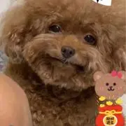 おさだちゃんの画像