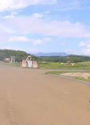 ゆでお