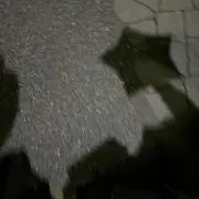 いなちゃんの画像