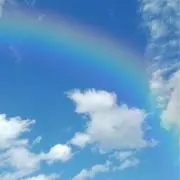 ☘️の画像