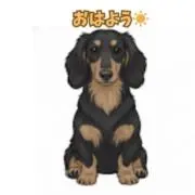 mym Clubの画像
