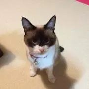 なお