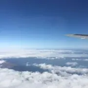 てらの画像