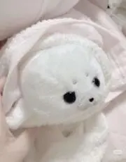 nana♡即購入OKの画像