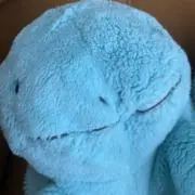 さわの画像