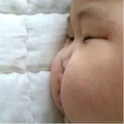 もふっさん