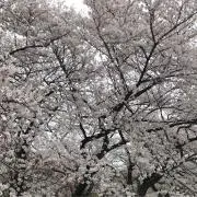 レトロポップ【ファッション/本/雑貨】の画像