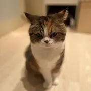 KMの画像