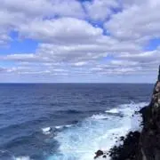 M.Hの画像