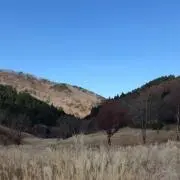 yoshiの画像