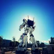 8284の画像