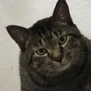 彼方の画像