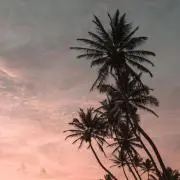 toの画像