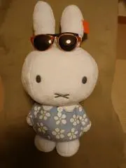 大きいヤドカリ