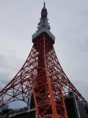 千鳥