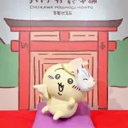 ゆんの画像