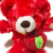 apple bear ❣️の画像