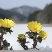 ちーママの画像