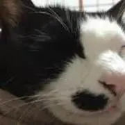 takasiiiitの画像