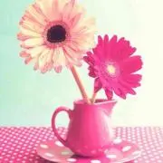 ちーの画像