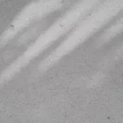 mYu‎‎☆。.:＊・゜の画像