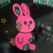 ぴょんきちの画像