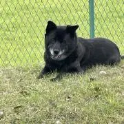 Ñørǐの画像