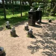 みやみやの画像