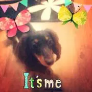 ハナたん