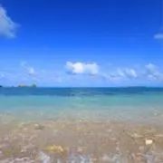 marinの画像