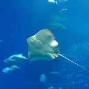 Takaちゃんの画像