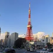 TOKYO TOWER MANの画像