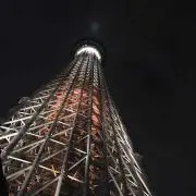 トム