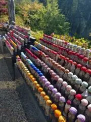 タマムシの画像