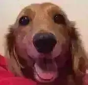 ぎんじ❣️10〜15日休みます❣️の画像
