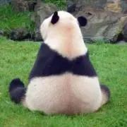 とこ【プロフ必読】