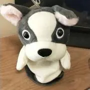 ふるさんの画像
