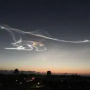 ジョニオの画像