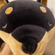 micanの画像