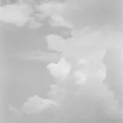 TTの画像