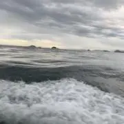 miの画像