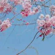はるたむmam❤︎