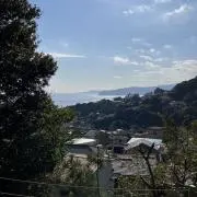 tacoの画像