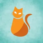 まこ