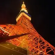 リルモクの画像