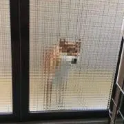 ふにゃお