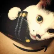 s.t suke＊*の画像